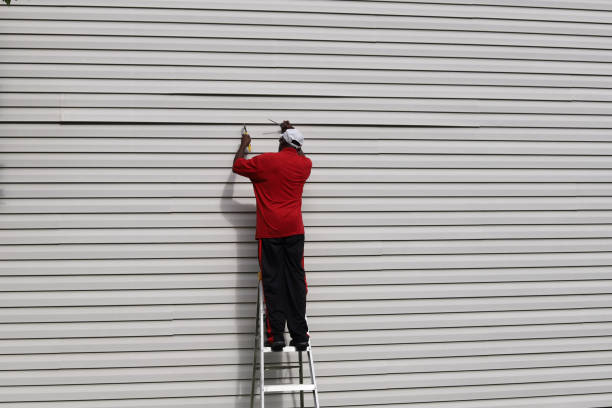Affordable Siding Repair and Maintenance Services in Fair Plain, MI