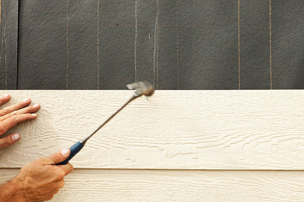 Best Custom Trim and Detailing for Siding  in Fair Plain, MI